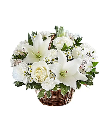 Tranquil Eden Basket | Blooms Today