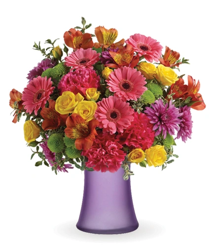 花卉56 Pleased As Punch | Blooms Today