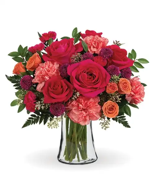 Sunset Blooms | Blooms Today