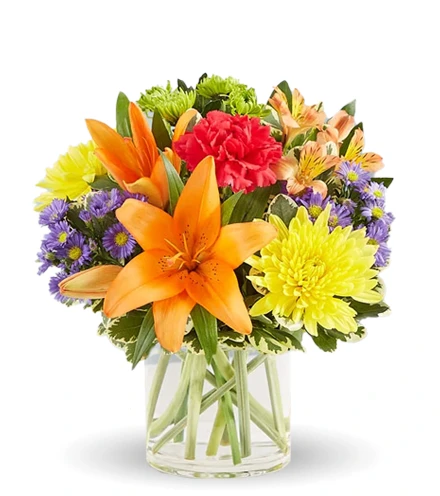 Burst of Color | Blooms Today