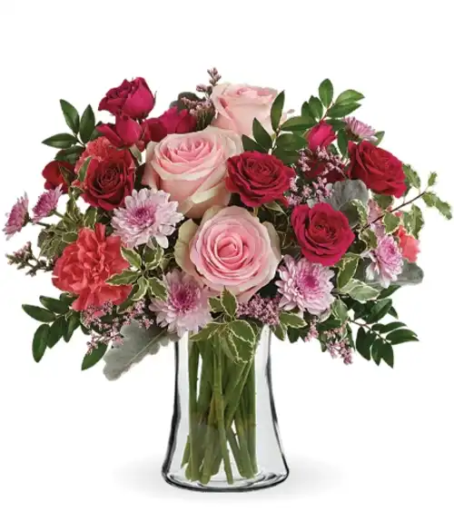 ローズページ Pink Serenade | Blooms Today