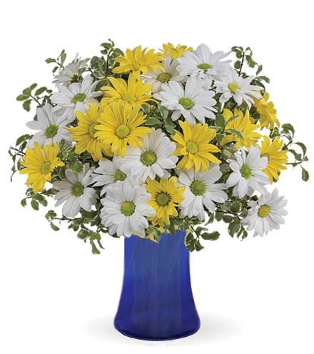 Daisy Delight | Blooms Today