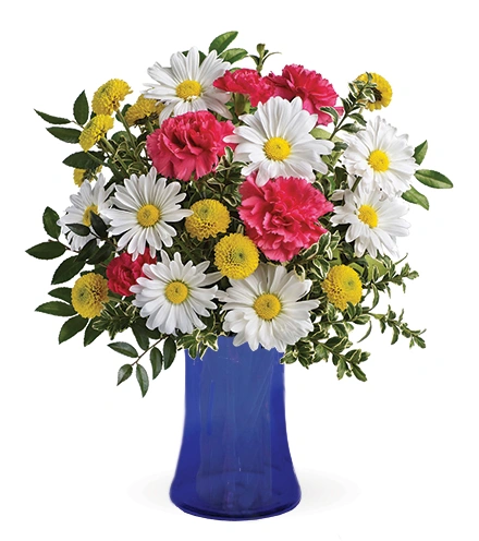 Tickle Me Daisy | Blooms Today