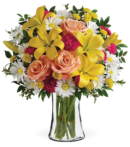 Tickle Me Daisy | Blooms Today