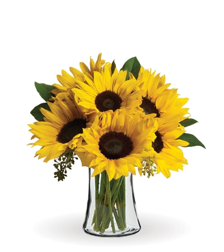 Sunny and Bright