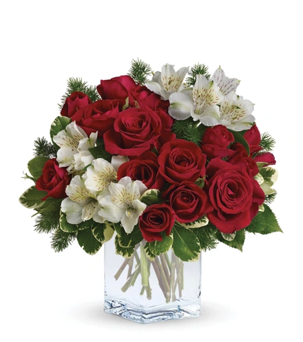 Ruby Blush | Blooms Today