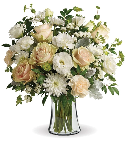 Simply Graceful | Blooms Today | Blooms Today