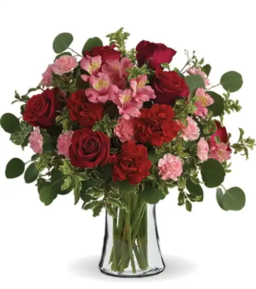 Timeless Devotion | Blooms Today | Blooms Today