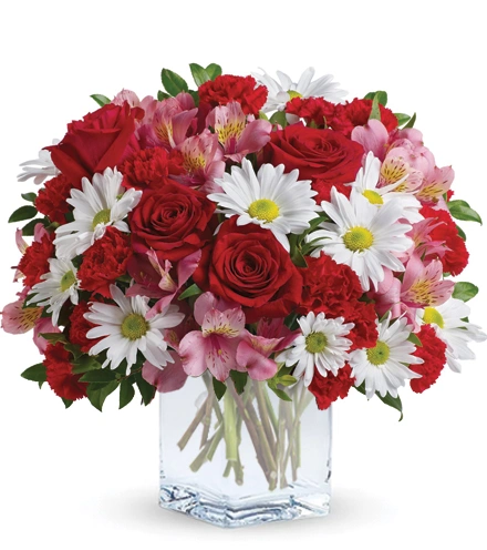 Open Hearts | Blooms Today | Blooms Today