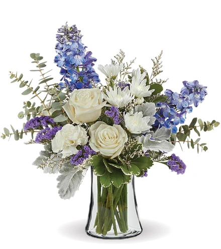 Morning Meadow | Blooms Today | Blooms Today