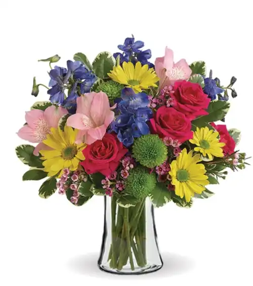 Burst of Joy | Blooms Today | Blooms Today