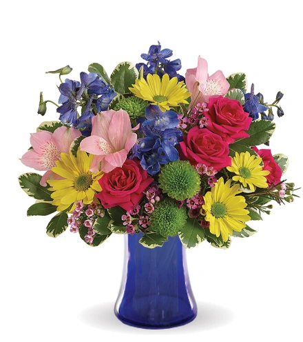 Burst of Joy | Blooms Today | Blooms Today