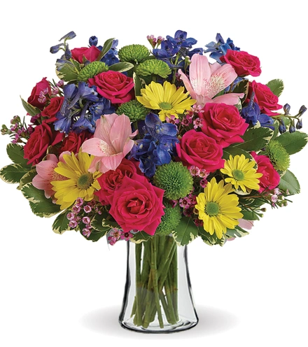 Burst of Joy | Blooms Today | Blooms Today