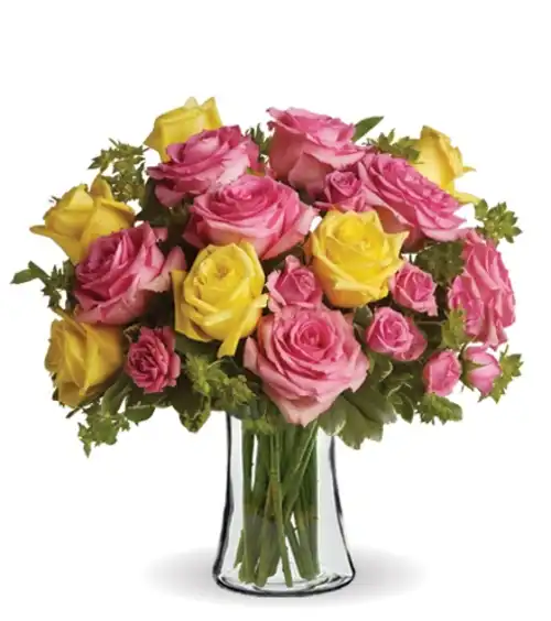 Joyful Roses | Blooms Today | Blooms Today