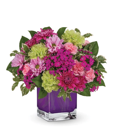 Garden Glow | Blooms Today | Simply Blooms