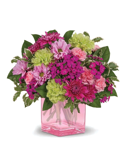 Garden Glow | Blooms Today | Simply Blooms
