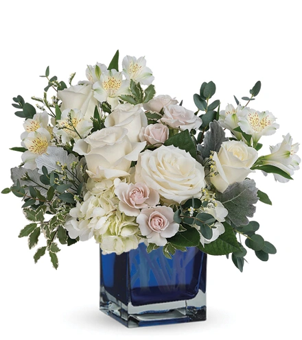 Pure Grace | Blooms Today | Blooms Today