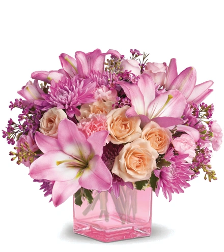 Sweet Devotion | Blooms Today | Blooms Today