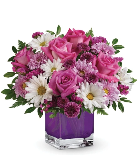 Raspberry Wishes | Blooms Today | Blooms Today