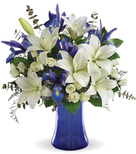 Royal Splendor | Blooms Today | Simply Blooms