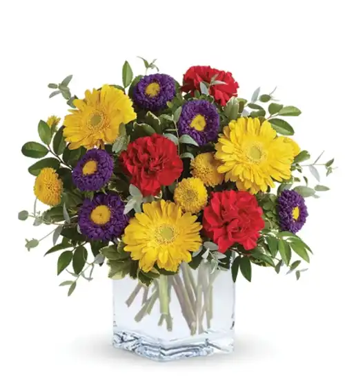 Sunburst Garden | Blooms Today | Blooms Today
