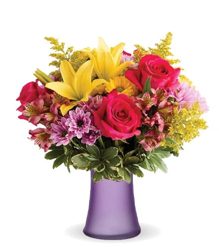 ムク　SAR Sunlit Garden | Blooms Today | Blooms Today
