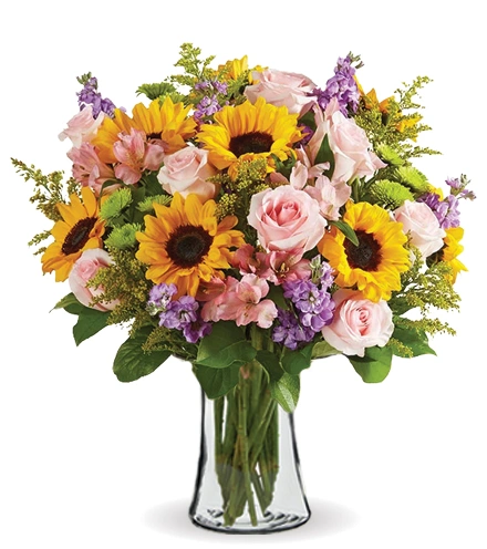Meadow Grace | Blooms Today | Blooms Today
