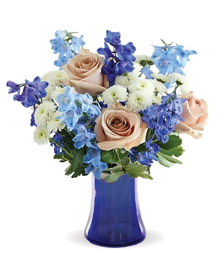 MM23：80cm690g Morning Garden | Blooms Today | Blooms Today