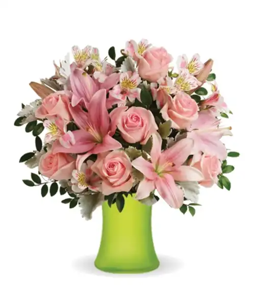 Tender Grace | Blooms Today | Blooms Today