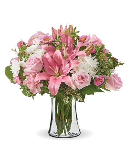 Blush Serenity